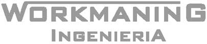 workmaning.cl